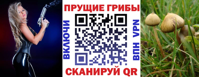 нарко площадка наркотические препараты  Балашиха  Псилоцибиновые грибы Psilocybe 